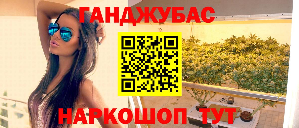 Конопля гибрид Мариинск